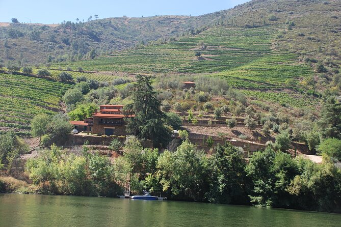 2-Hour Rabelo Boat Tour in Pinhão - Common Concerns