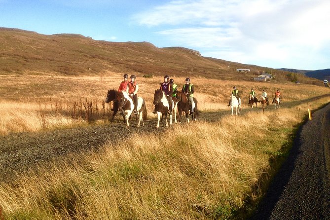 2 Hours Private Horse Riding to Lake Hafravatn, Reykjavík - Mos - Cancellation Policy