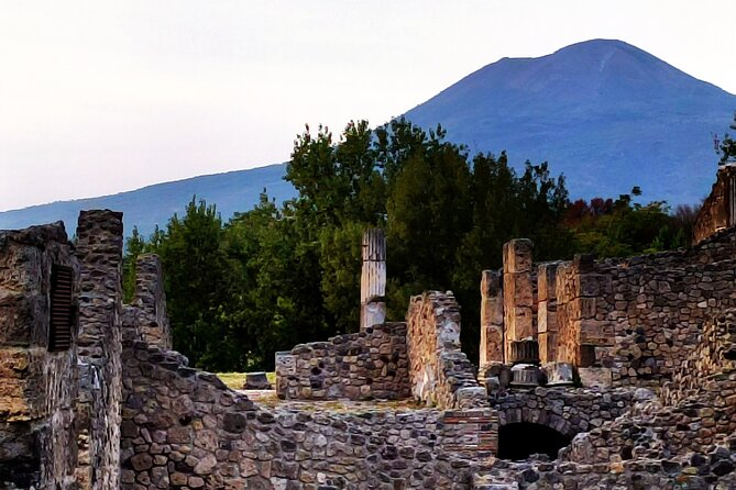2 Hours Private Tour in Pompeii With Archaeologist - What to Expect