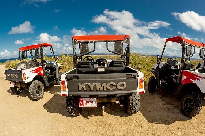 2-Seater UTV Island Tour in Aruba - Customer Reviews and Feedback