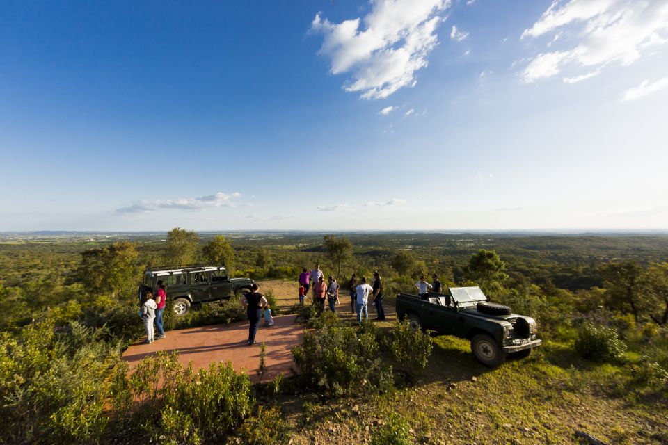 2hr Cork Safari in a Classical Land Rover - Observing the Local Wildlife