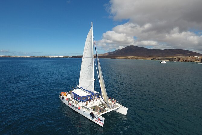 2hrs Dolphins Sunset Sailing Cruise With Drink - Tips for a Great Experience