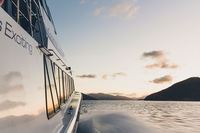 3.5 Hour Marlborough Sounds Delivery Cruise - Accessibility Features