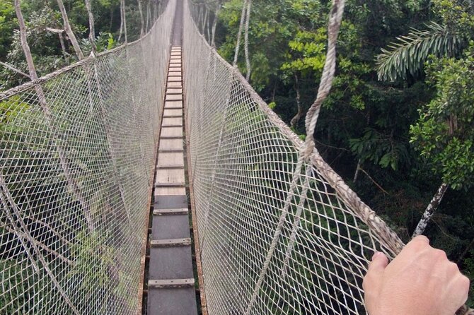 3-Day All Inclusive Guided Jungle Tour From Iquitos at Maniti Eco-Lodge - Meeting Point and Logistics