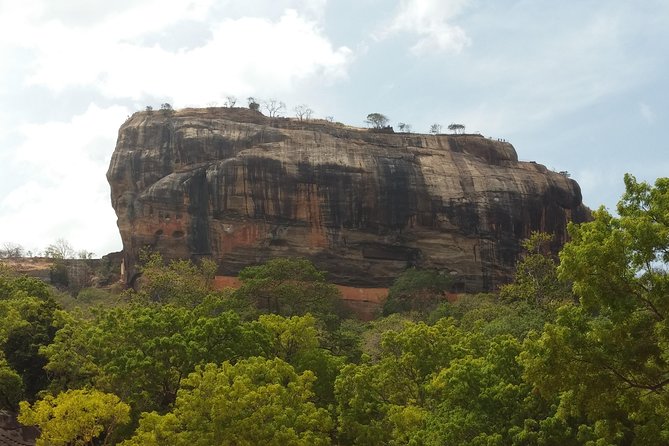 3 Day Privet Tour To Kandy & Sigiriya From Colombo - Customer Reviews