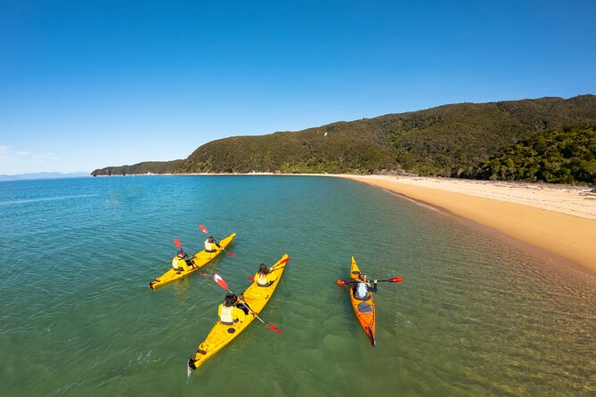3 Day Unguided Kayaking Starting in the Abel Tasman National Park New Zealand - Reviews and Feedback