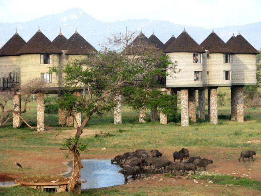 3 Days Safari to Saltlick Lodge From Nairobi - Accommodation Details