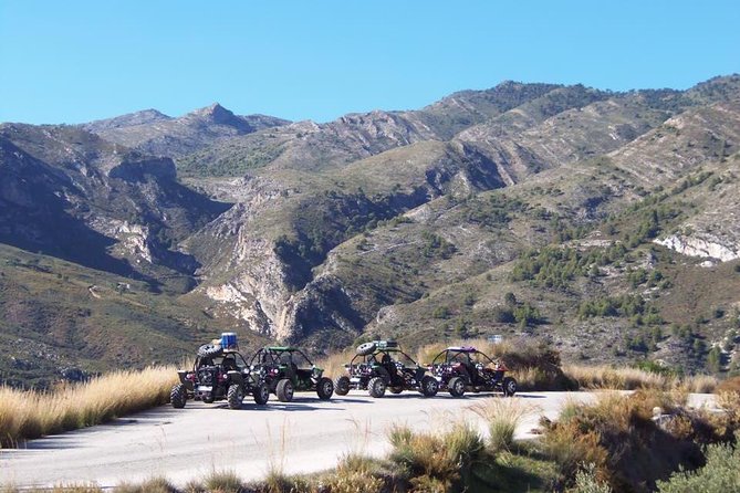 3-Hour Buggy Tour in Almuñecar With Picnic - Customer Reviews