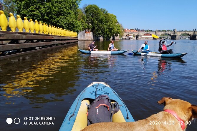 3 Hour Canoe Tour in Prague Centre - Reviews