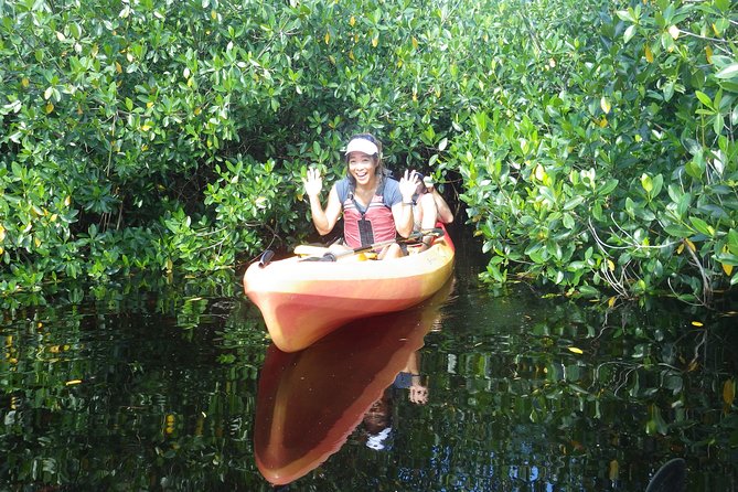 3 Hour Guided Mangrove Tunnel Kayak Eco Tour - Meeting Location