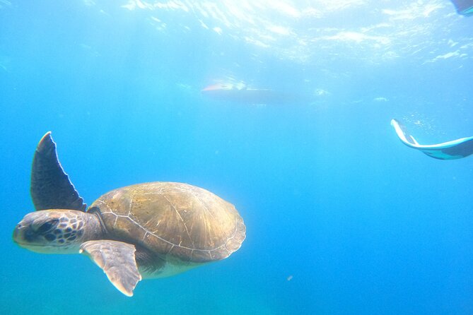 3 Hour Kayak and Snorkeling Experience in Tenerife - Weather Policy