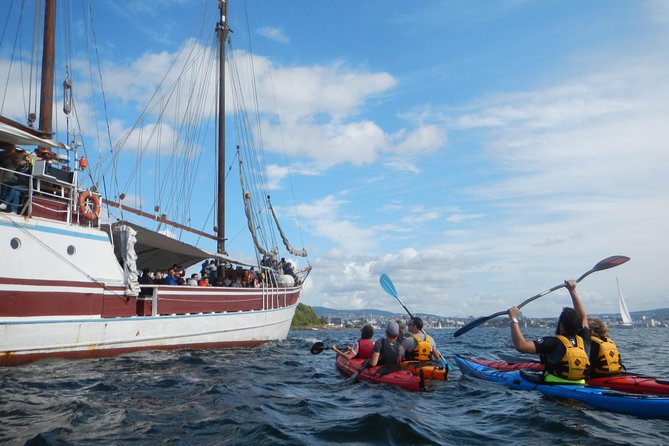 3- Hour Kayak Tour on the Oslofjord - Meeting Logistics