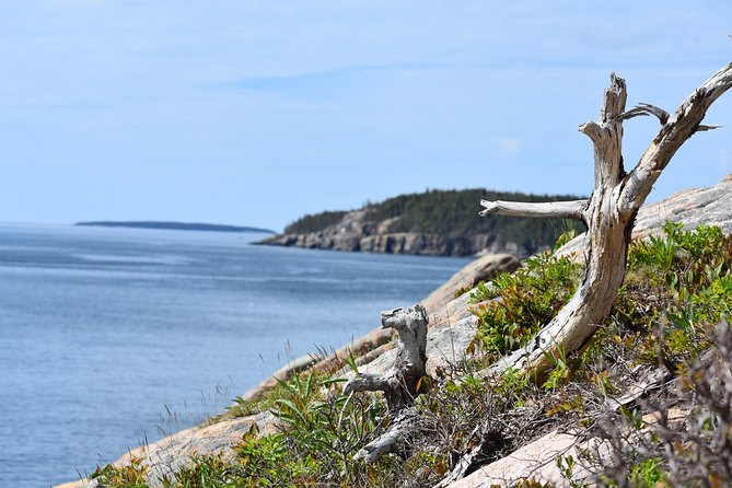 3 Hour Private Tour: Explore All the Top Spots of Acadia! - Customer Experiences