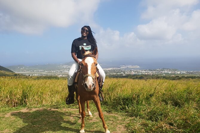 3 Hours Horseback Riding From Nature Trails to Sofa Stone - Reviews and Feedback