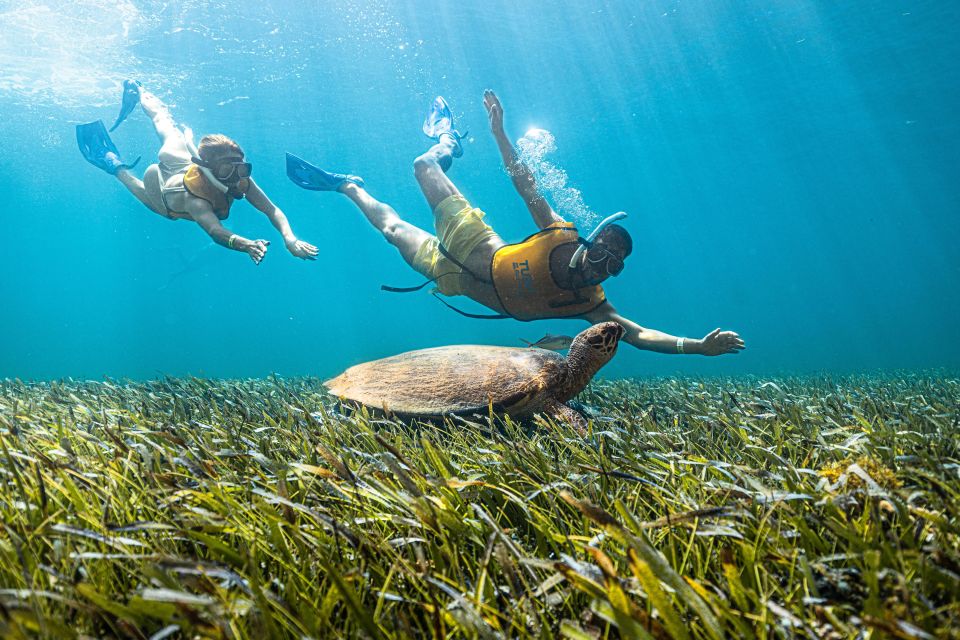 3 in 1 Snorkeling, Parasailing, With Meco Ruins Free - El Meco Archaeological Site