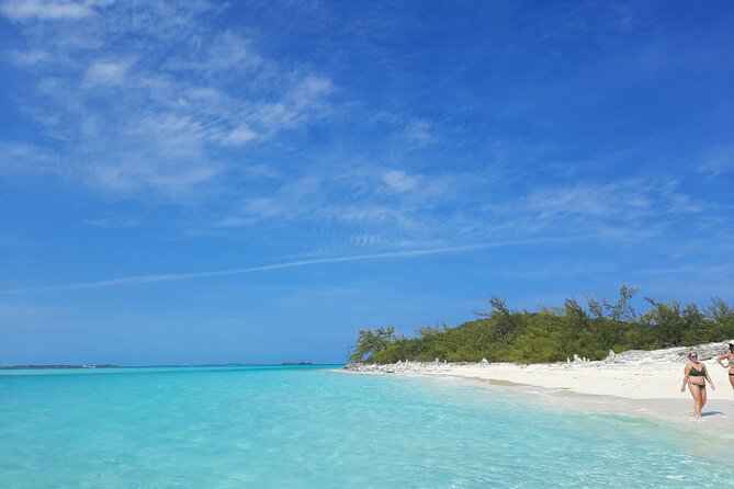 4-Hour Bahamas Excursion: Snorkeling, Wildlife, and Beach Club - Customer Experiences