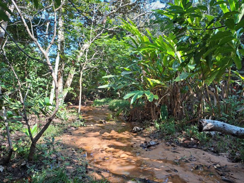 4- Hour Hiking Tour in Two Different Tropical Worlds - Meals and Amenities