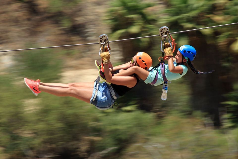 4-Hour Monster Zip Line in Wild Canyon - Restrictions and Requirements