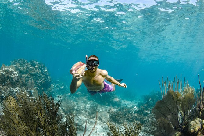 4 Hour Private Boat Charter to Stingray City, Snorkeling and More - What to Expect