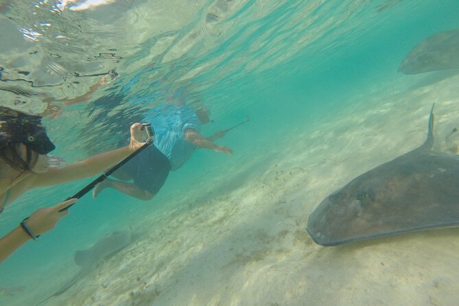 4 Hour Private Sandy Cay Experience With Snorkeling - Adults Only - Why Choose Sandy Cay