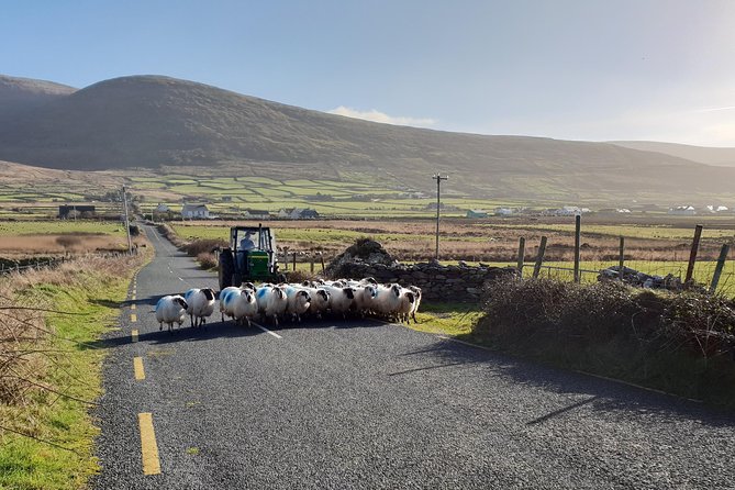 4 Hour Slea Head Drive Tour - Personal Chauffeur Guided Tour - Meeting and Pickup Details