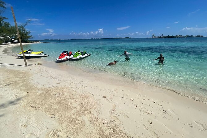 4-Hour Tour in Bahamas With Jet Ski and Swimming With Pigs - Customer Experiences