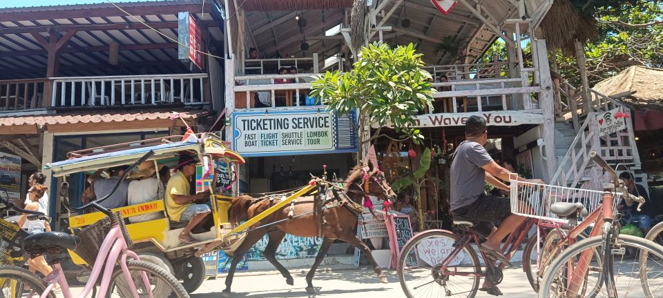 4 Hours Snorkeling 3 Gilis ( Trawangan,Meno, Gili Air) - Inclusions and Amenities