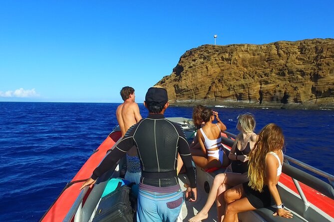 4-HR Molokini Crater + Turtle Town Snorkeling Experience - Accessibility Information