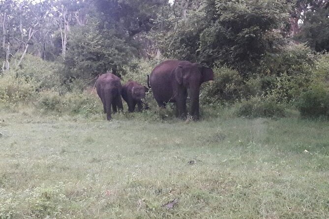 5 Days Kerala Tour Package - Private Tour With Exclusive Houseboat Stay - Pickup and Dropoff