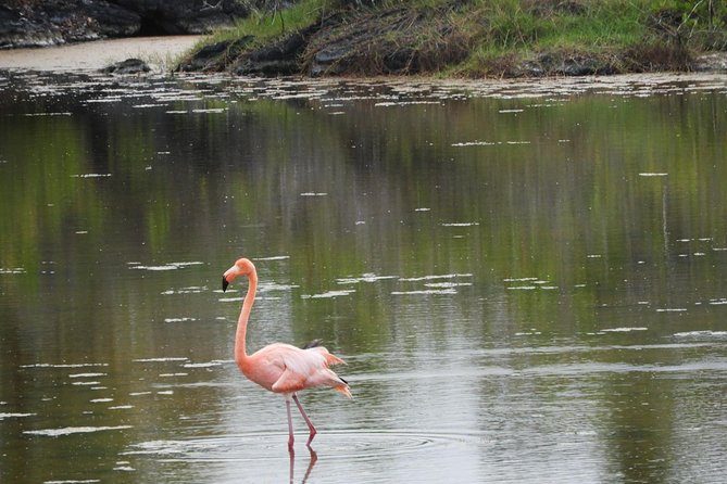 6-Day Galapagos Island Hopping Tour: Santa Fe, Santa Cruz and Los Tuneles - Essential Packing Tips