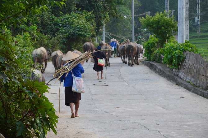 6-Day off the Beaten Track Tour of North Vietnam From Hanoi - Meals and Dietary Options