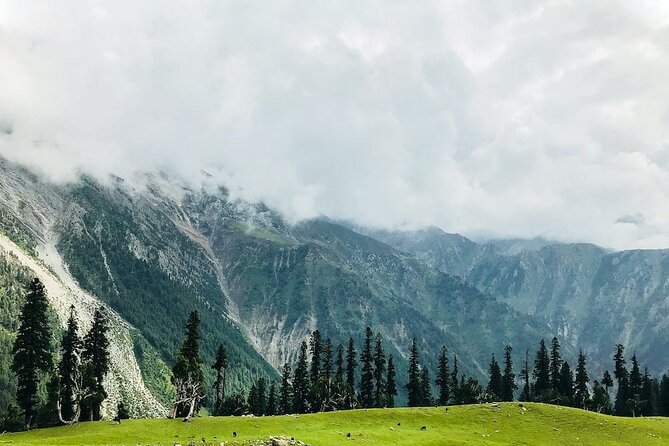6 Days Private Tour in Kashmir Valley - Meeting and Pickup