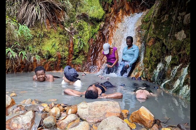 7 Hours Wildlife Discovery Tour in Dominica - Itinerary and Activities