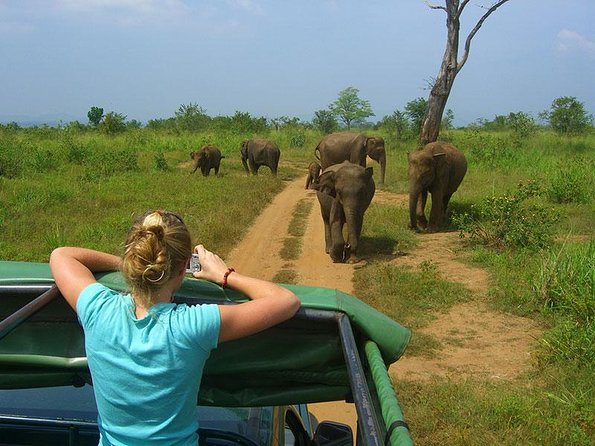 8 Days Classic Tour Sri Lanka - Meeting and Pickup Details