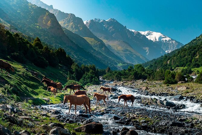 8 Days Private Tour at Lenin Peak Base Camp Trek - Health and Fitness Guidelines