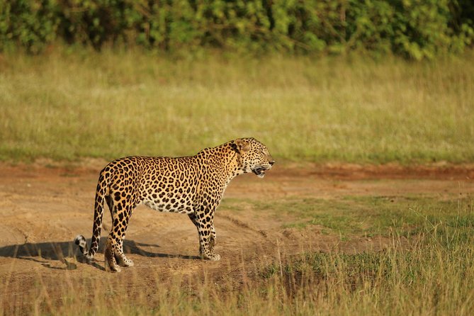 8 Days Sri Lanka Round Tours With Privet Driver, Vehicle and H/B Accommodations - Additional Information