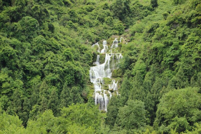 A Day in Munnar: Nature, Culture, and Local Flavor - Visit to the Tea Museum