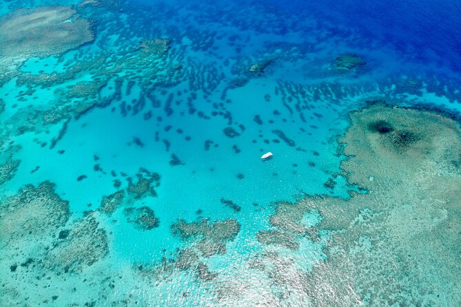 ABC Snorkel Charters Port Douglas Snorkelling Max 12 Passengers - Booking Information