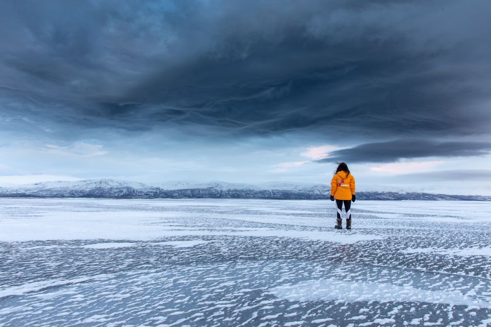 Abisko National Park: Scenic Morning Hike With Transfer - Wildlife Encounters