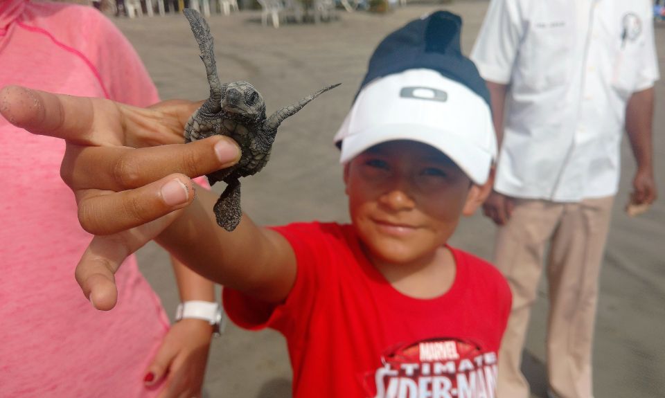 .Acapulco: Baby Turtle Release Tres Palos Lagoon Eco W/Lunch - Afro-Mexican Village Visit