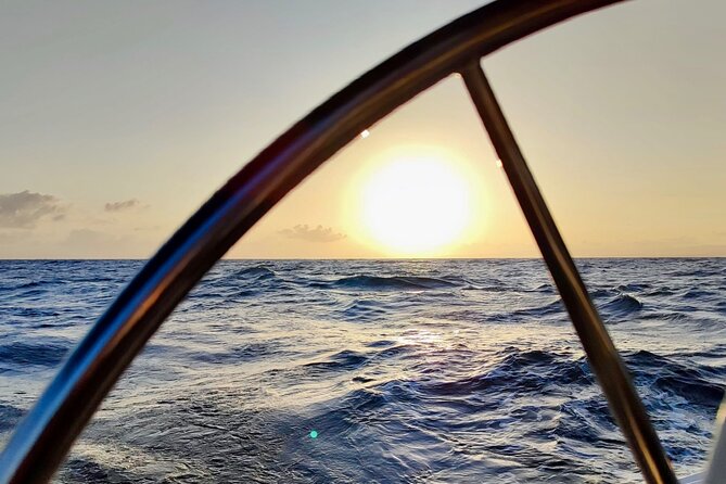 Activated Sailing Trip 2 Hours From Puerto De Banús Marbella - Important Trip Information