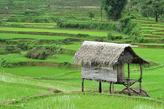Active Volcano, Rice Field, Hot Spring, Fruit Market, Tea Plantation With Lunch - Soothing Ciater Hot Springs