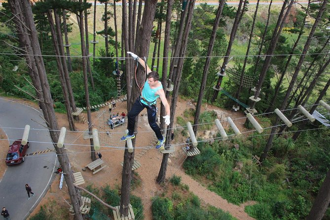 Adrenalin Forest Obstacle Course in the Bay of Plenty - Course Challenges and Levels