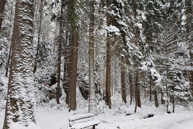 Adrspach Teplice Rocks Filming Site of The Chronicles of Narnia - Tour Details and Itinerary