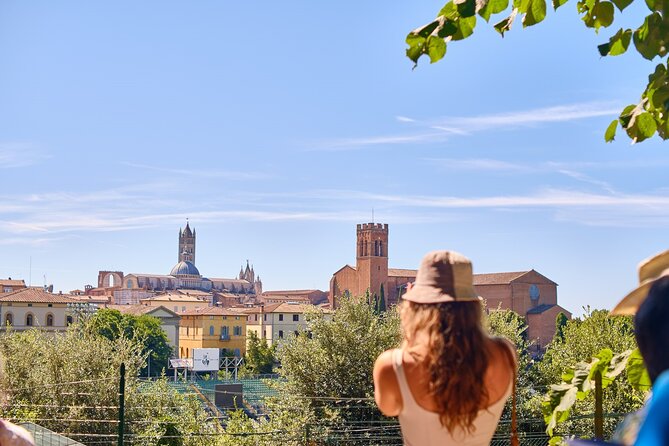 Afternoon in Siena and Chianti Wine Tour With Dinner From Florence - Meeting and Pickup Information