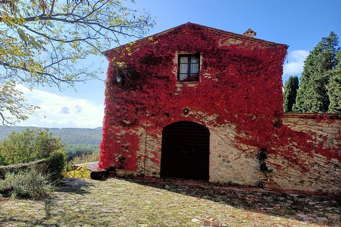 Afternoon Semi Private Chianti Tour From Siena - Accessibility Information