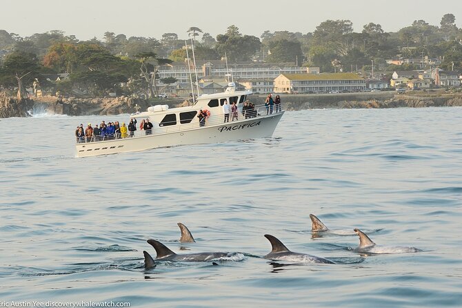Afternoon Whale Watch - Amenities Onboard