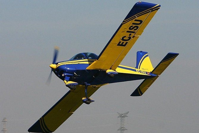 Airplane Flight - Meeting and Departure Details