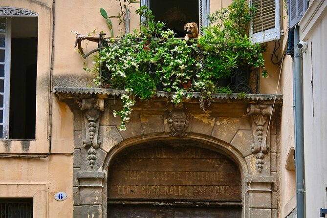 Aix-En-Provence Walking Historic Highlights Tour With a Local - Rosé Wine and Charcuterie