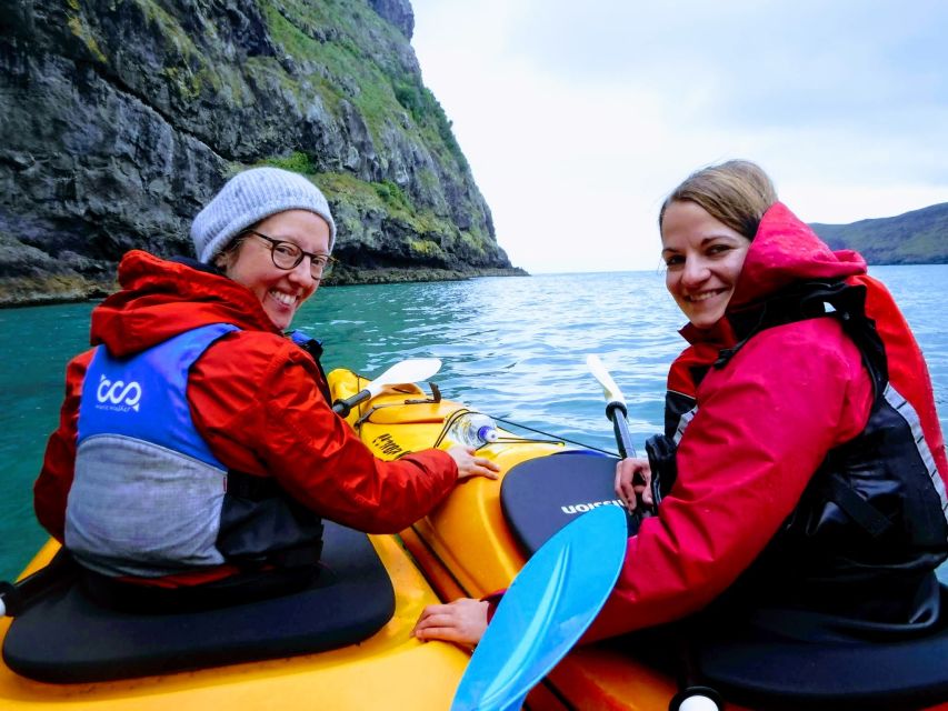 Akaroa: Guided Sea Kayaking Safari at Sunrise - Activity Highlights